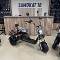 Электроскутер Trike GT X6 Pro трехколесный
